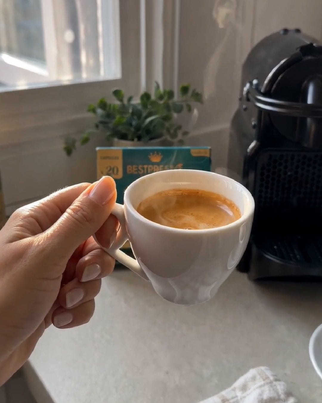 Capsules Cresta Coffee — Compatibles Nespresso® Original